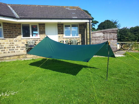 Tarp
