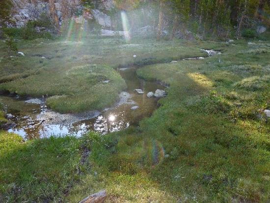stream