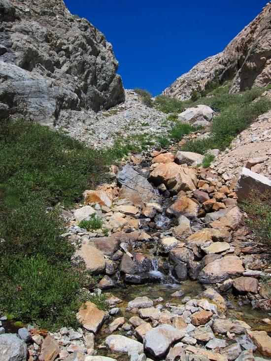 trail to golden trout lake