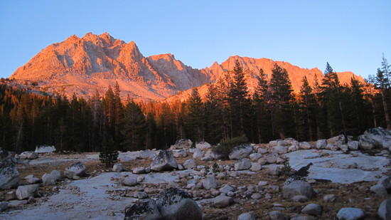 View north in evolution valley