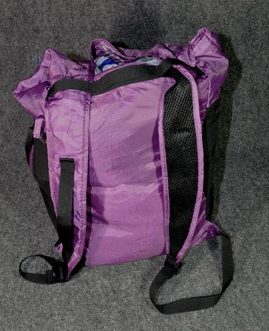 ChicoBag Day Pack
