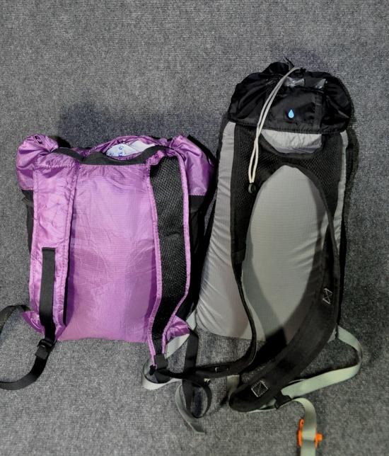 ChicoBag Day Pack