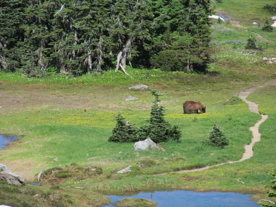 right along the trail!