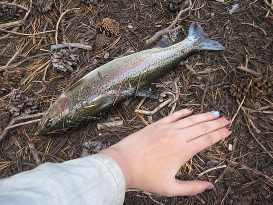 Hannah with 13.5 inch trout
