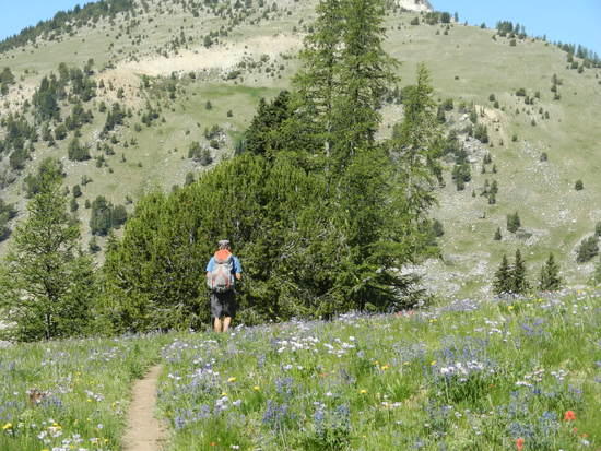 trail