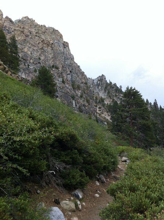 Halfway up