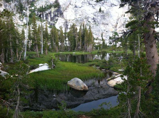 Magical mystery marsh