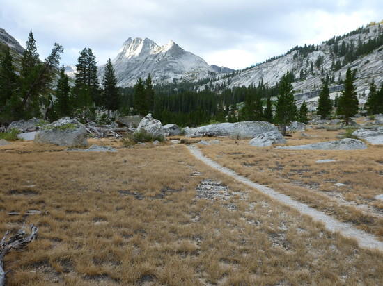 Meadows and mountains