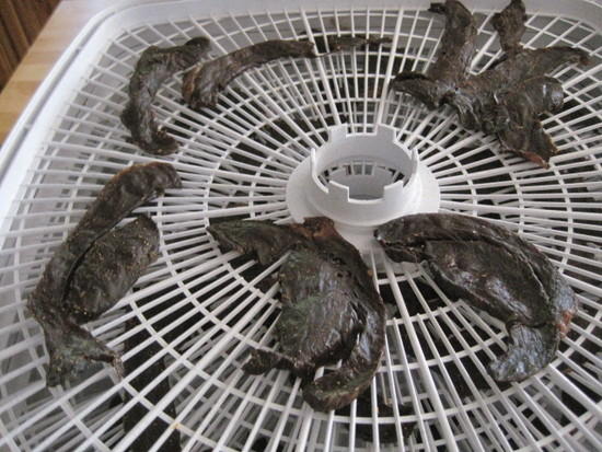 jerky