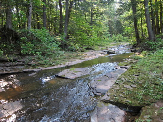 Little Carp River