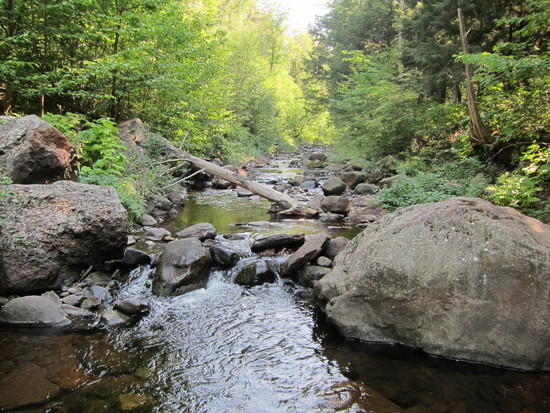Little Carp campsite