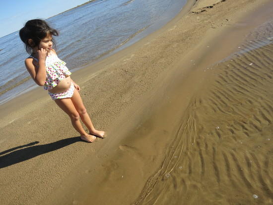 minnow
