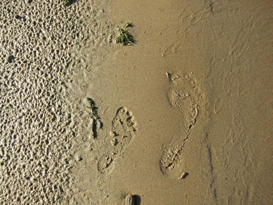 footprint