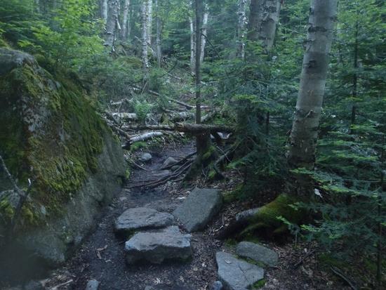trail2