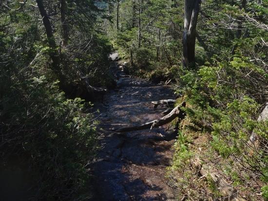 trail
