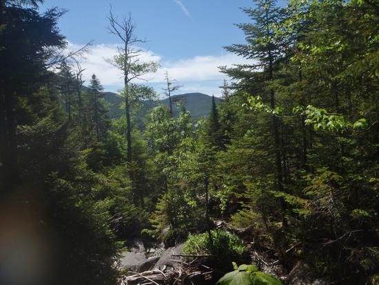 trail3