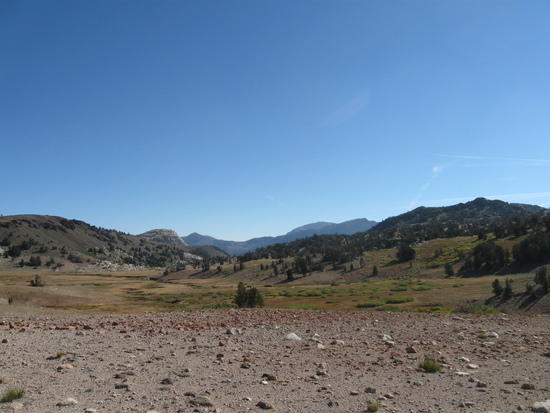 meadow II