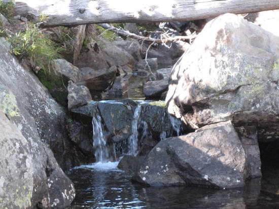 I was suprised to find the water still flowing so plentfully