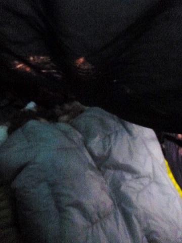 Mom and 5yr old sleeping under one quilt