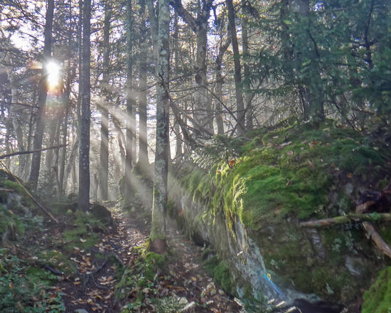 Vermont Long Trail