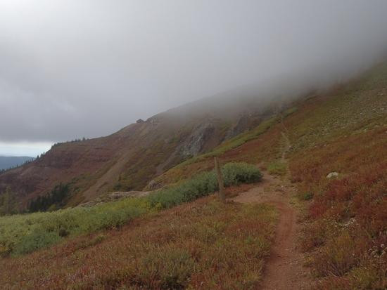 Mist