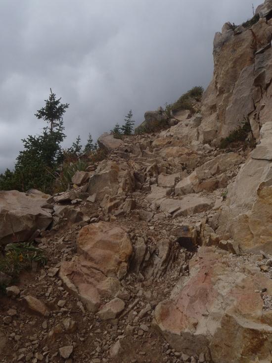Rough Trail