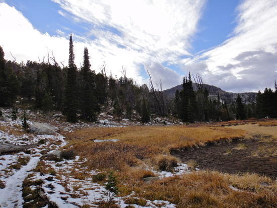High meadow below my eventual camp