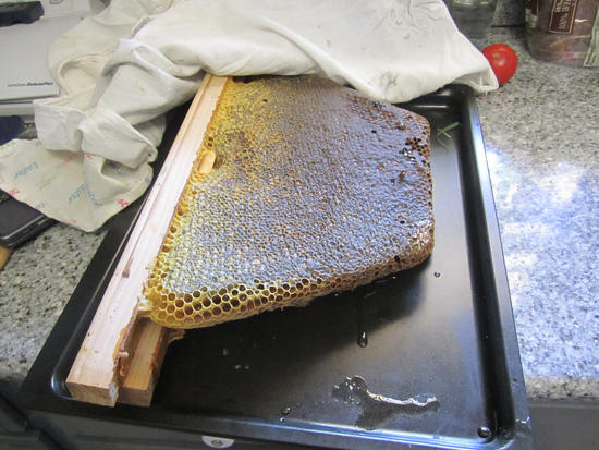 honey