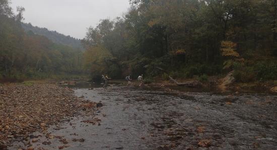 crossing the river
