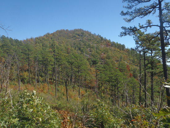 side trail