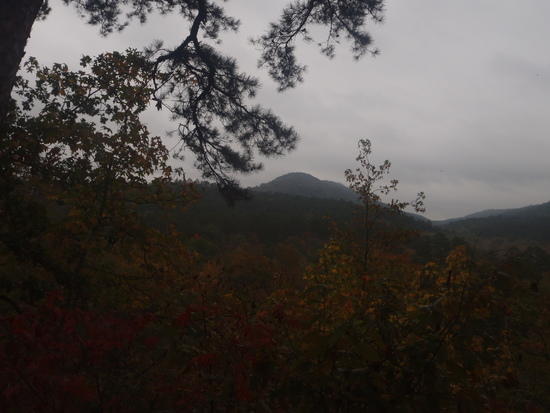 last view