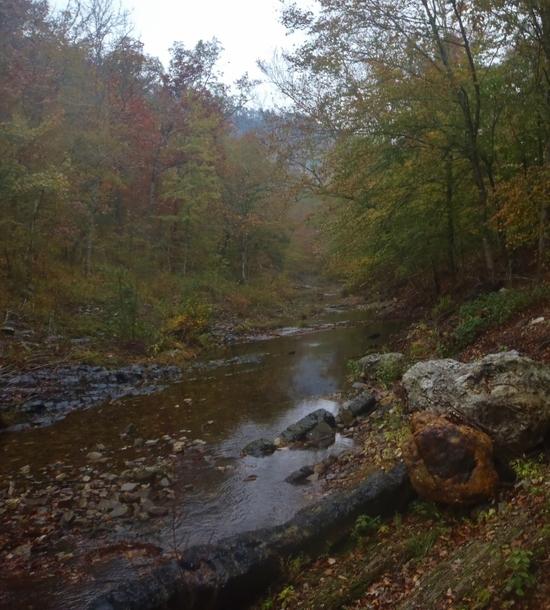 creek1