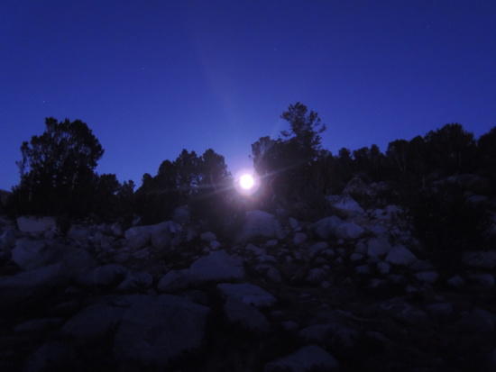 piute14