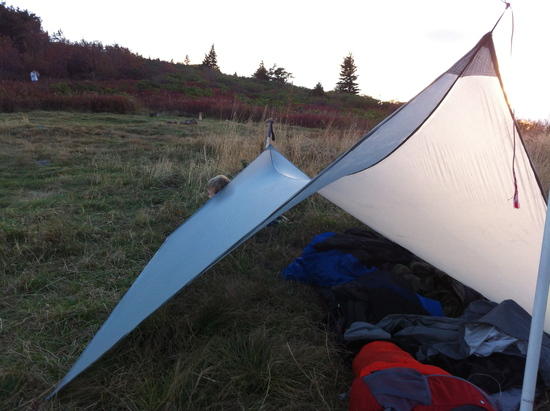 Pitched at Ivestor Gap NC