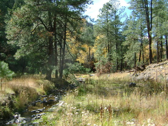 stream at black canyon trail