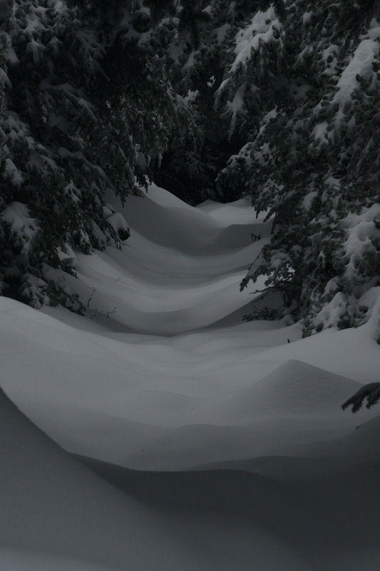 snow on LeConte 10-29-12