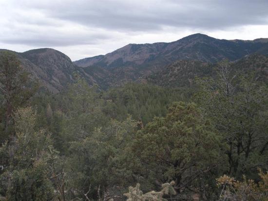 magdalenamountains