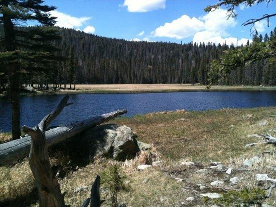 stewartlake