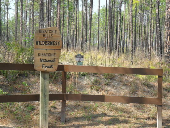 Kisatchie Wilderness Sign