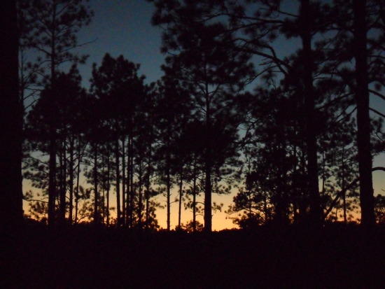 Sunset