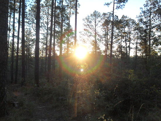 Sunrise