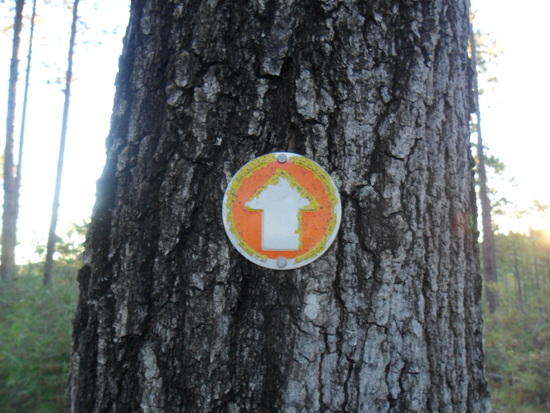 Trail Marker