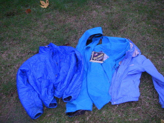 blue coat2