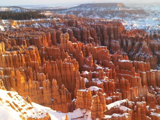 Bryce Winter 2