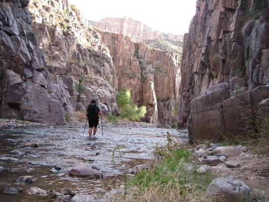 Aravaipa