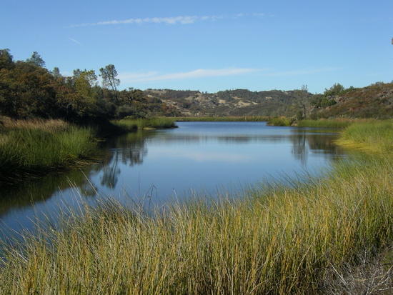 Coit lake