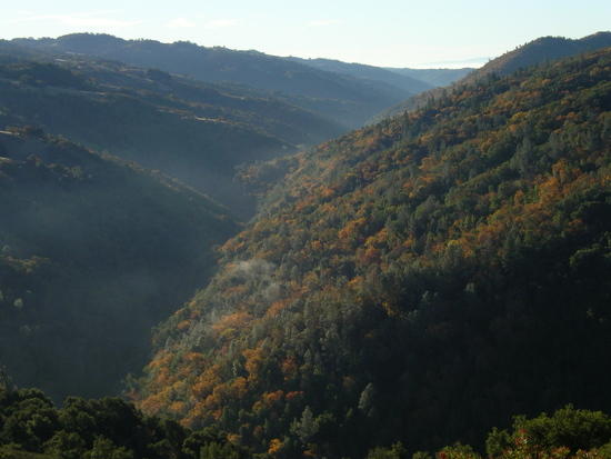 Fall colors at Coe