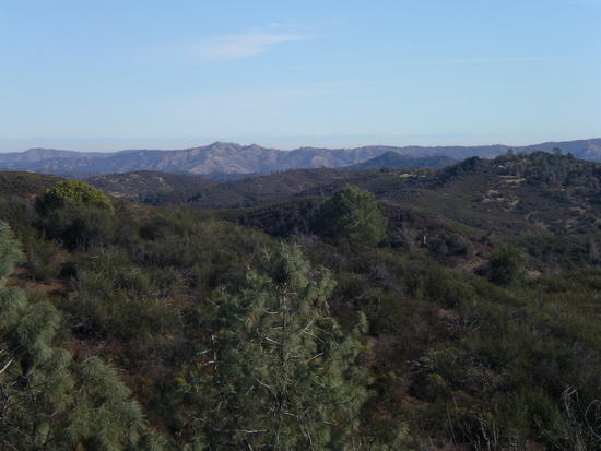 View east from Willow Ridge