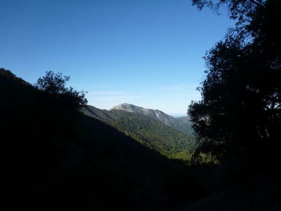 xcvb