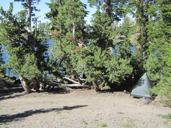 040